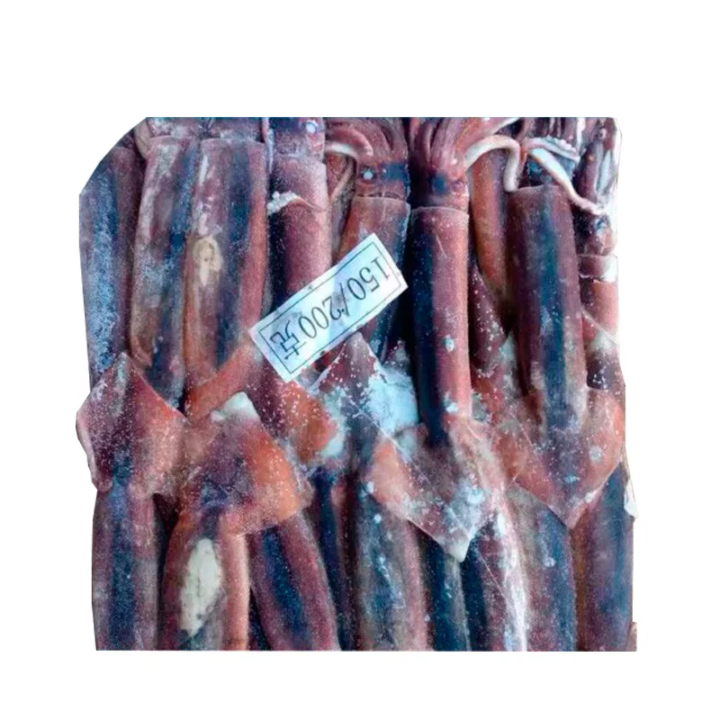 Seafood Export Dried Cuttlefish Squid