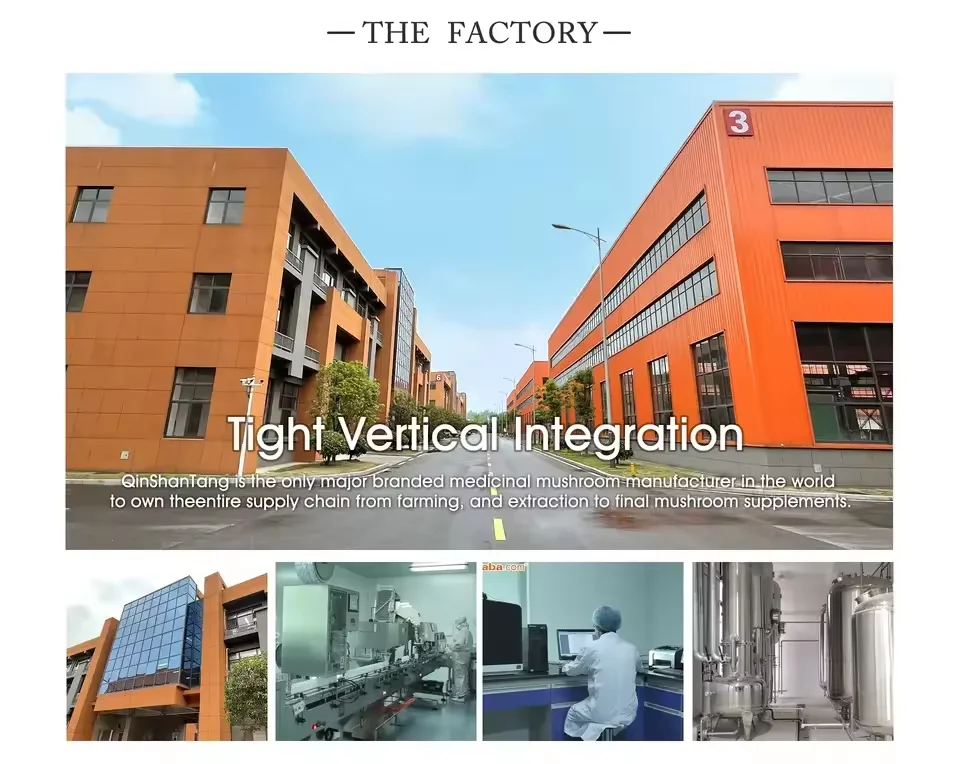 QINSHANTANG Private Label Fulvic Acid Liquid Organic Shilajit Extract Natural Himalayan Pure Shilajit Resin