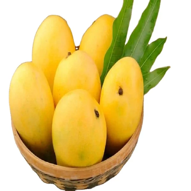 
Alphonso Mango 