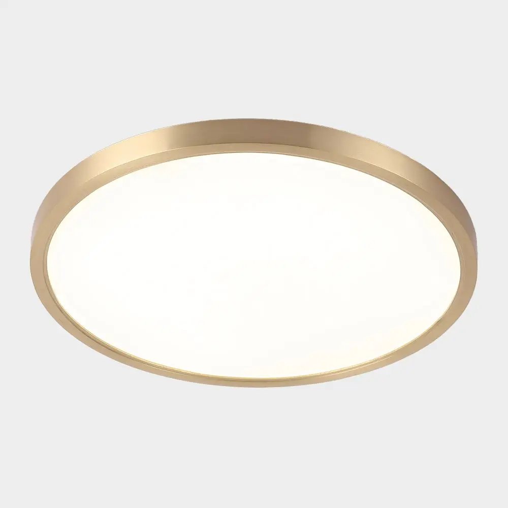 
 Factory Wholesale Ultra Thin Minimalist 24W 36W 48W Dimmable Led Ceiling Light Panel Light Ceiling Modern Ceiling Light Lamp  