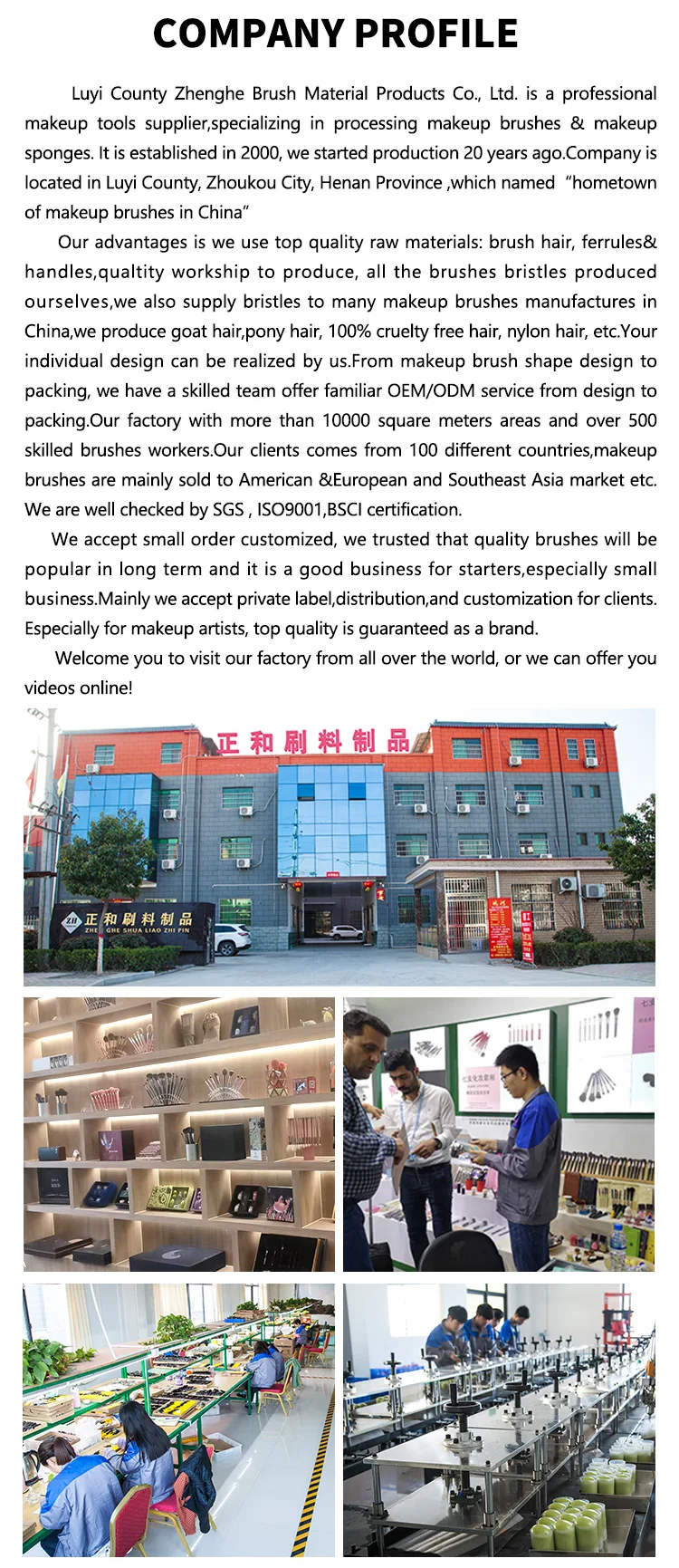 make up brushes cosmetic