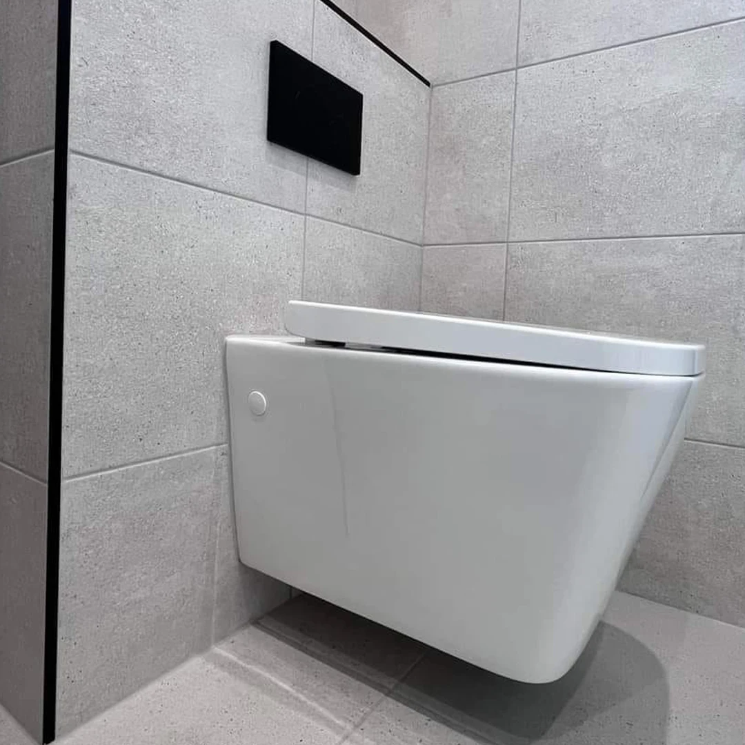 Современный стиль унитаз