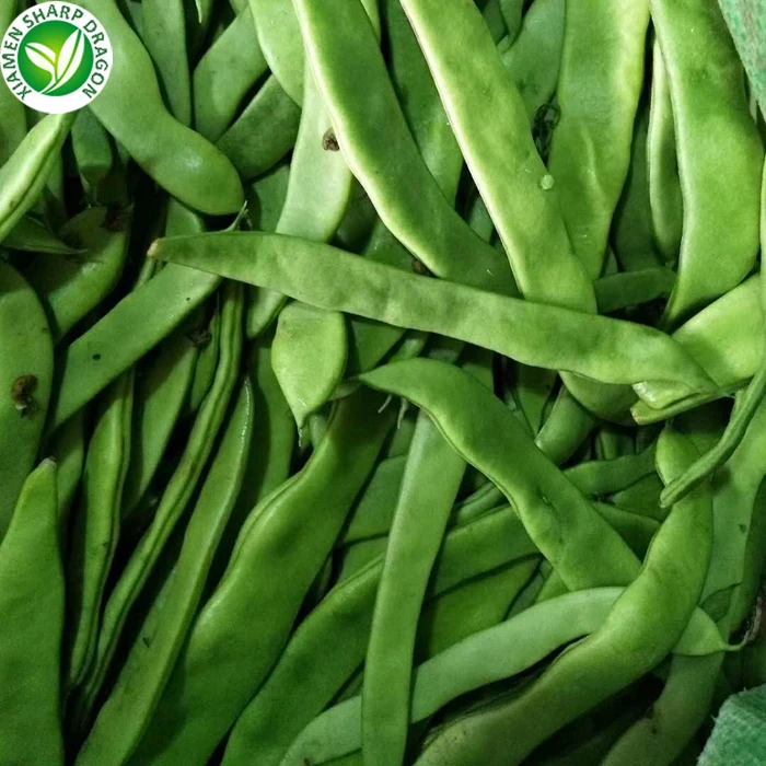 
IQF Wholesale price green long frozen romano beans for sale 