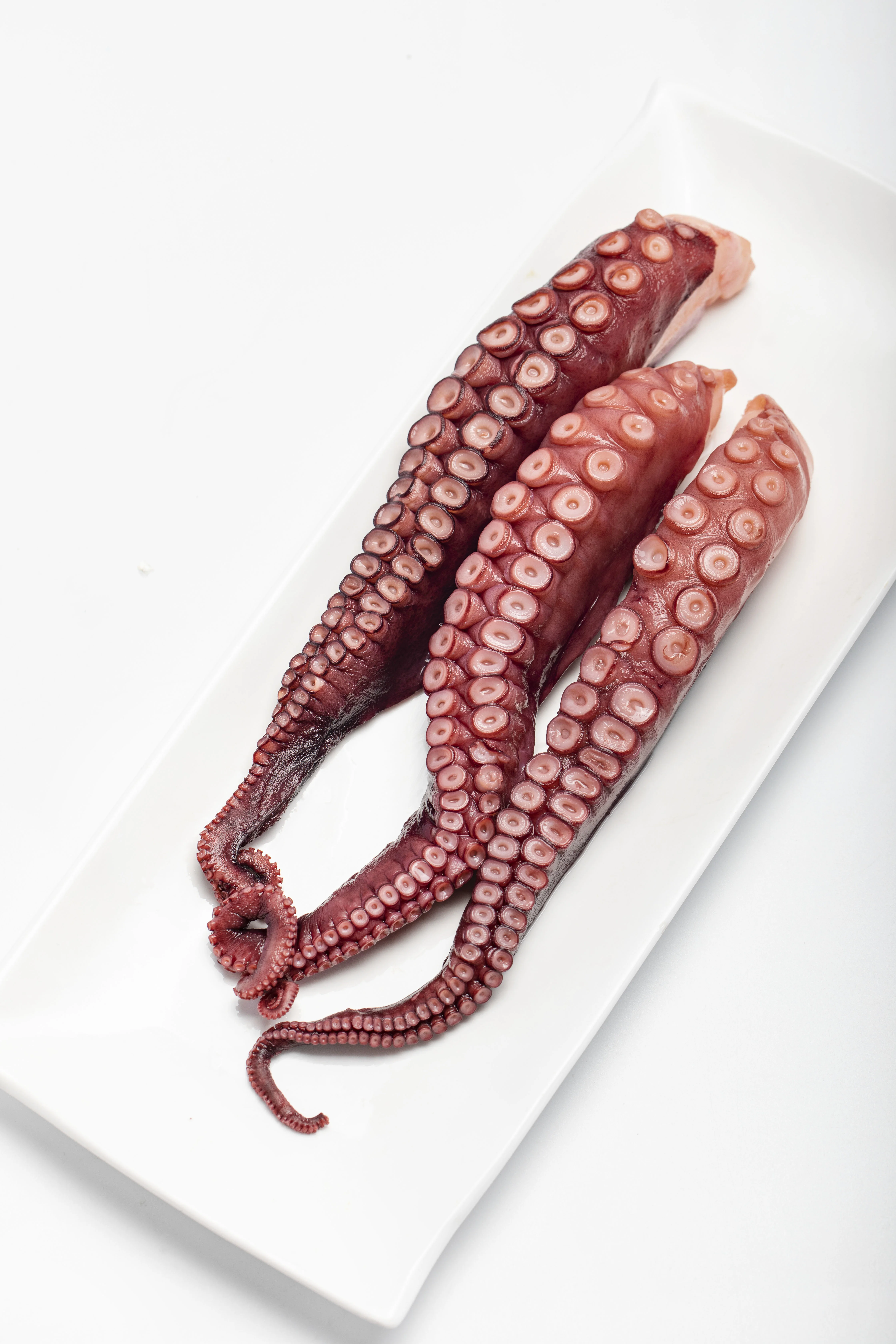 Hot Selling Healthy Japanese Food Material Frozen Boiled Octopus for Sale Natural Frozen Seafood Dried Octopus Baby Octopus