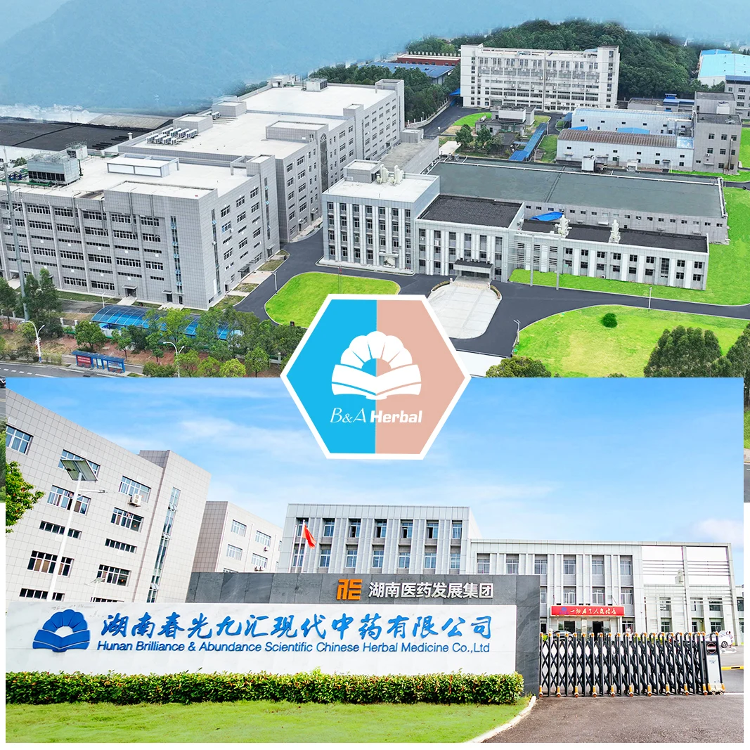 Pure Natural China Cang Zhu Wordlike Atractylodes Rhizome Extract Atractylodin HPLC for Sale