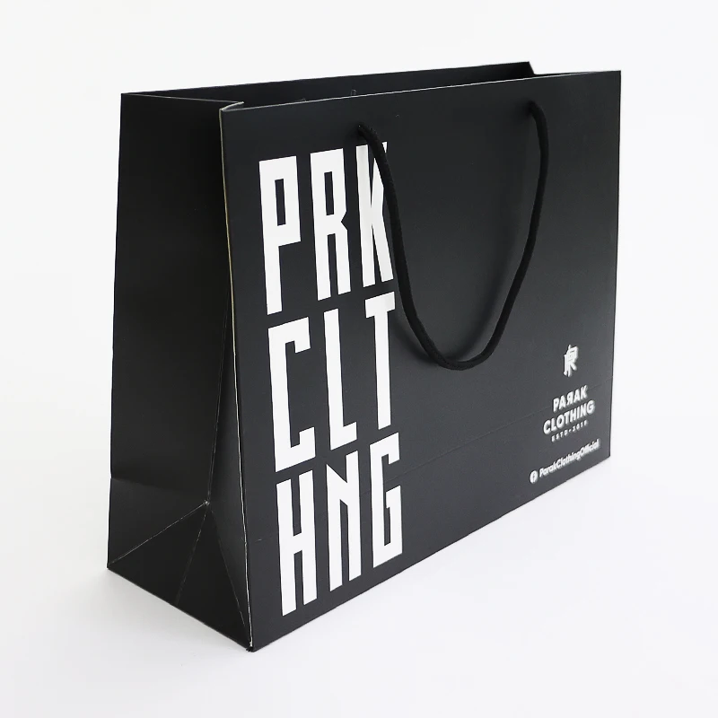 Matte Black Gift Bags, Premium Gift Bags with Handles for All Occasions