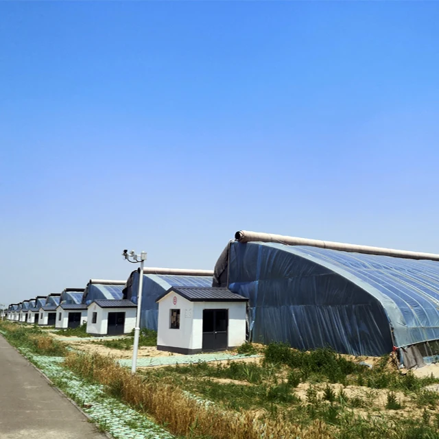 FM Prefab Poly Tunnel Passive Solar Agricultural Used Greenhouse For Tomato Growing Green House Net Sale