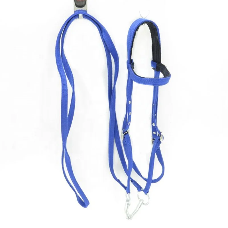 Thicken Equestrian Accessories Cheval Bridle Cavalo Halter Horse Riding Competitions Game Western Horses Racing Equipment