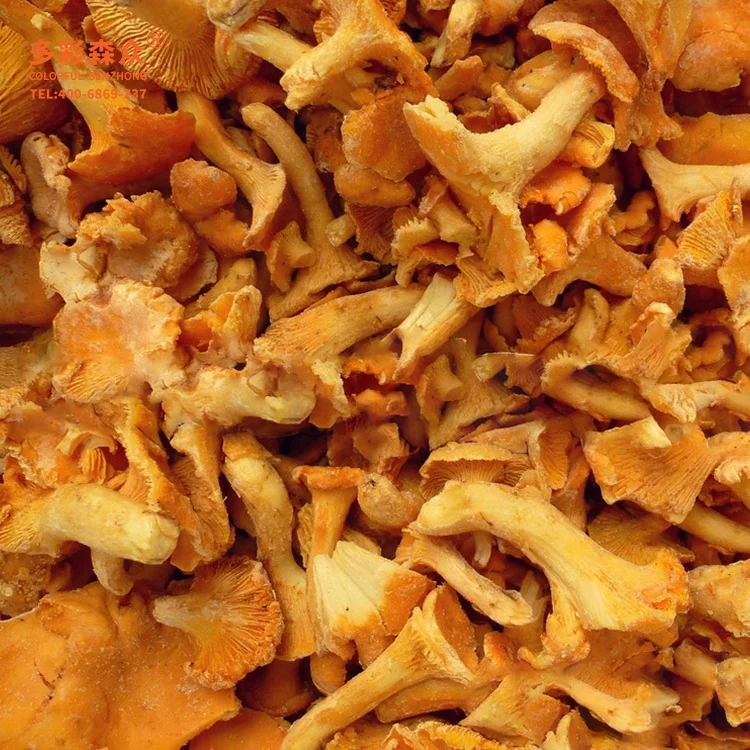 Low Prices Mushrooms Chanterelle Wild Frozen Cantharellus cibarius Fr Pleurotus Citrinopileatus Golden yellow Golden mushrooms