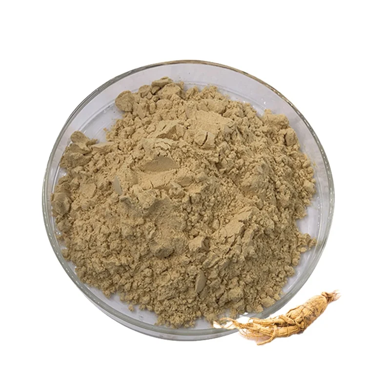 Organic Certified Panax Ginseng Extract extract 5%-80% ginsenosides ginseng extract Powder