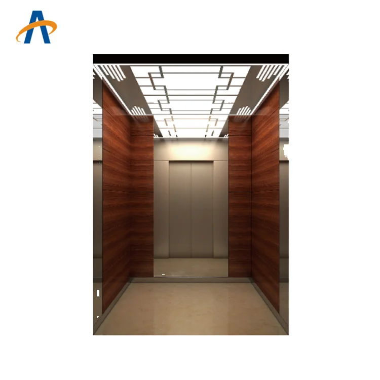 VVVF AC Drive System for Building Lift Small Indoor Passenger Elevator by Manufacturer for Residential and Hotel Applications