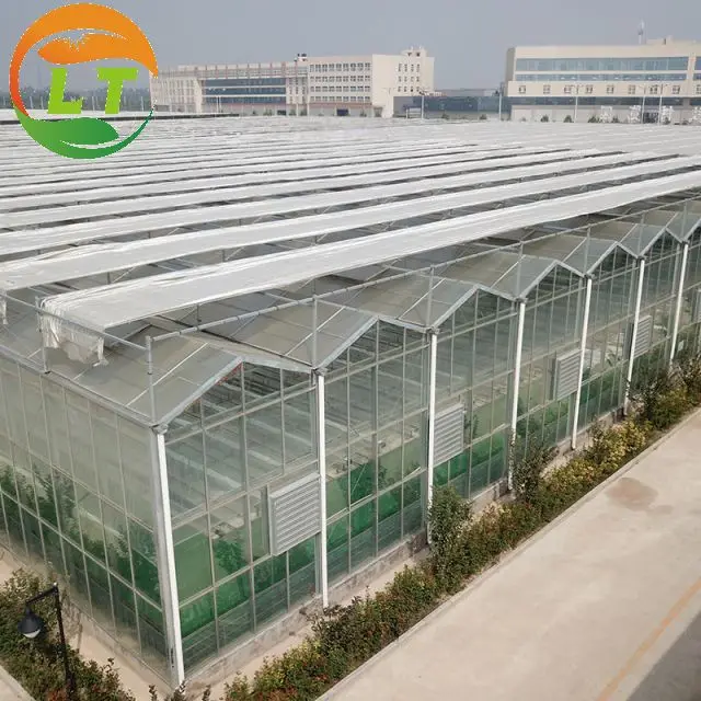 Galvanized skeleton good light transmittance heat preservation glass greenhouse for sale