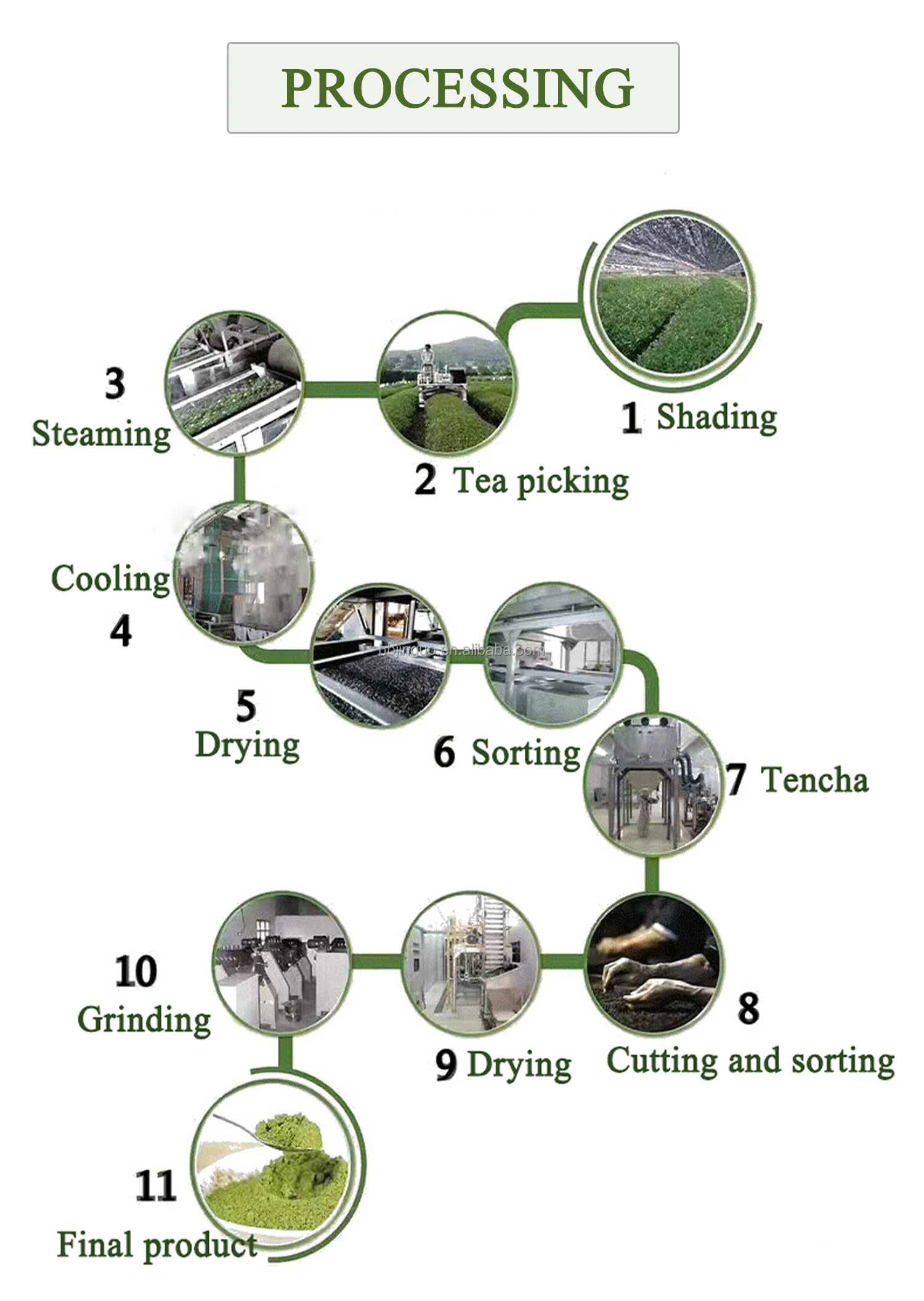  2021 New Product Matcha Green Tea Powder 100% Pure Factory Cheap High-quality Customized