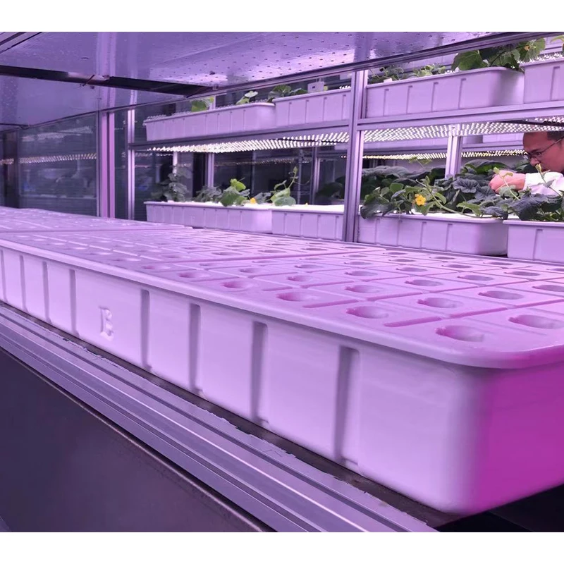 Custom Vacuum Forming White Flat Tray Plastic Blister Packaging Planting Seed Tray Growing Trays