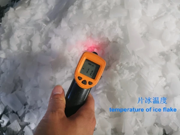 Hot Sale High Quality 300kg/24h Small Flake Ice Machine  Ice Machine In Flakes for Seafood/Preservation/Restaurant
