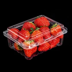 Food Container with Dome Lid Fruit and Salad Packaging Box Transparent PET Plastic Disposable OEM ODM Custom Embossing