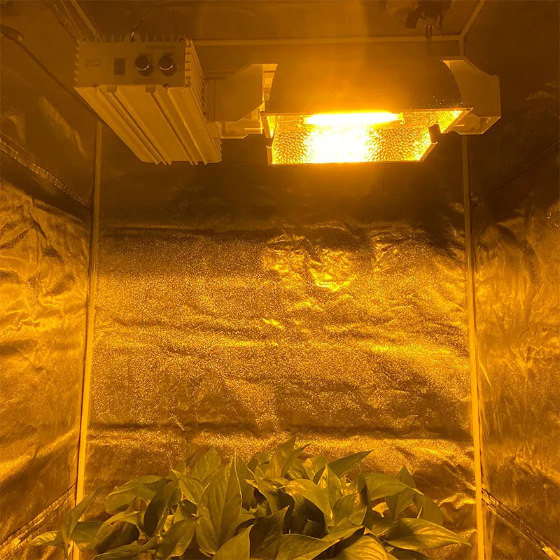 Double Ended DE High Pressure Sodium HPS 1000W Plant Growth Sodium Lamp For Medical Plants