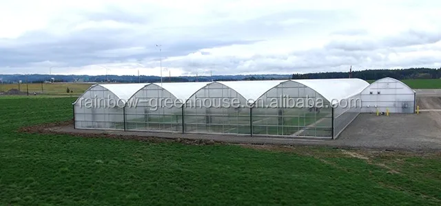 China Hydroponics greenhouse aquaponics greenhouse for tomato lettuce mango strawberry culture