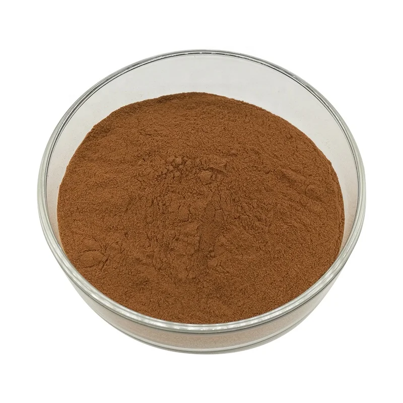 
High Quality Natural Chaga Mushroom Extract powder 