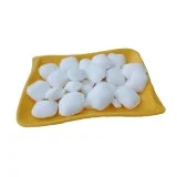 
Factory DMT Cas 120-61-6 Dimethyl terephthalate DMT Powder 