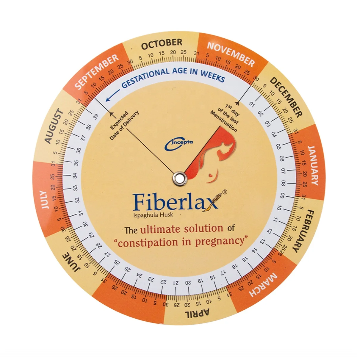 China Supplier Pregnancy Due Date Calculator BMI Medical Wheel