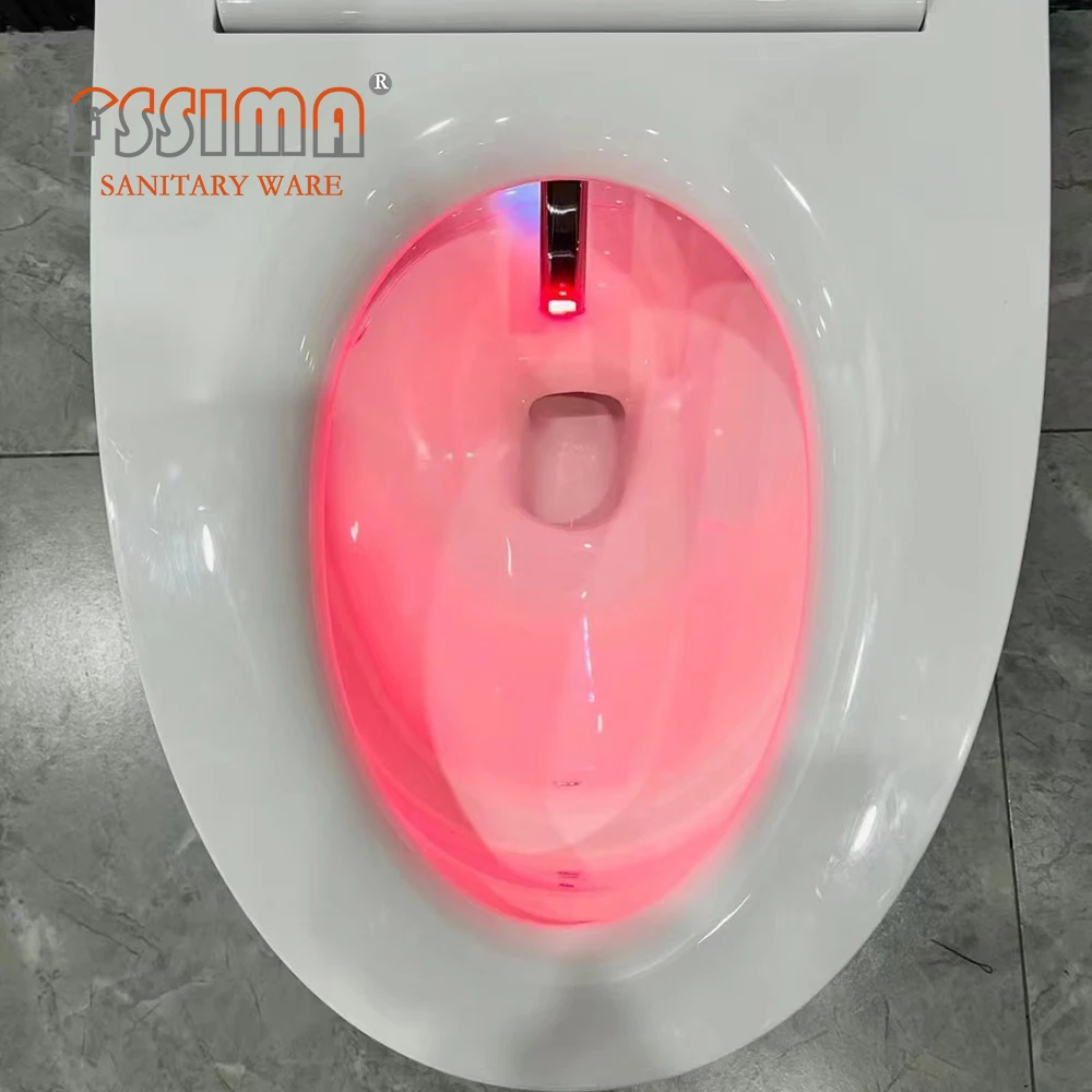 CE Europe ZN-3026 best electric intelligent automatic smart toilet Bathroom white one piece bidet toilet with remote control