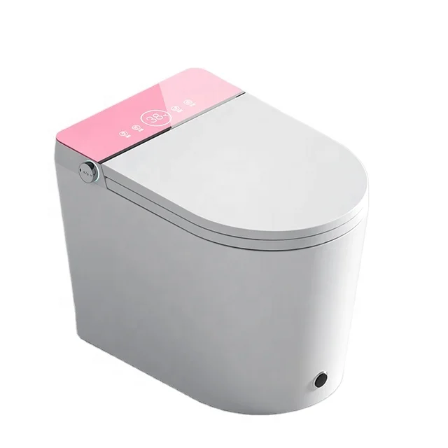 Toilet Automatic Flip Foam Shield Built-in Tank Customized Voltage Plug 110-220V Smart Toilet One Piece WC