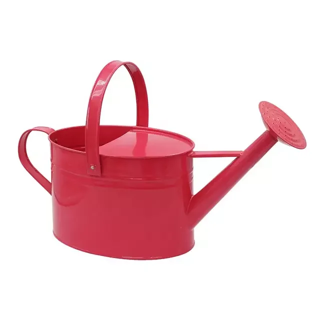 Wholesale oval shape galvanized watering can garden watering pot