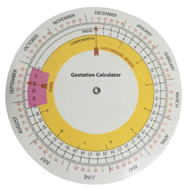 EM Customized Medical Round Pregnancy Calculator Due Date Wheel Pregnancy Disc Date Finder Plastic Rulers