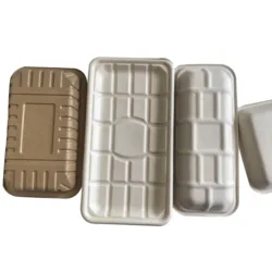 Biodegradable Disposable Dishes Sugarcane Bagasse Pulp Plates Meat Food Serving Trays  Disposable Trays