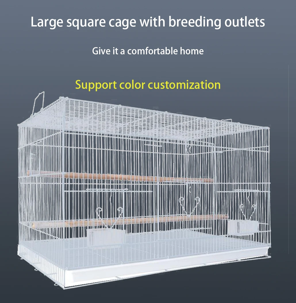 Wholesale quail parrot bird cage with feeder metal pet cage bird iron cage