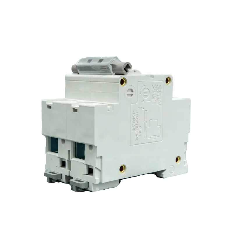 50/60hz Rated Mcb Circuit Breaker Flame Retardant Plastic Molded Case 125A 2P Miniature Circuit Breakers