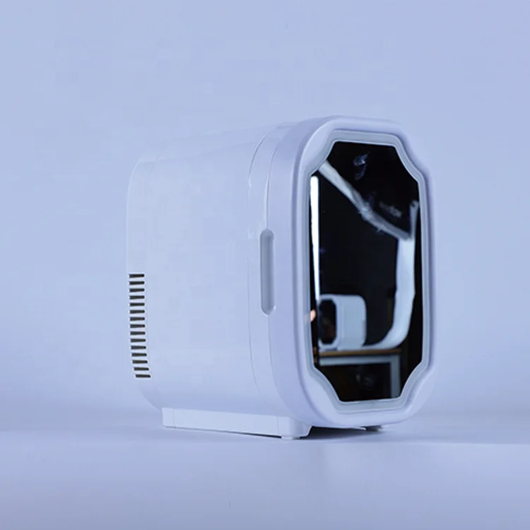 Portable Custom Home Use Mirror LED Light Cosmetic Makeup Skincare  Beauty Mini Fridge