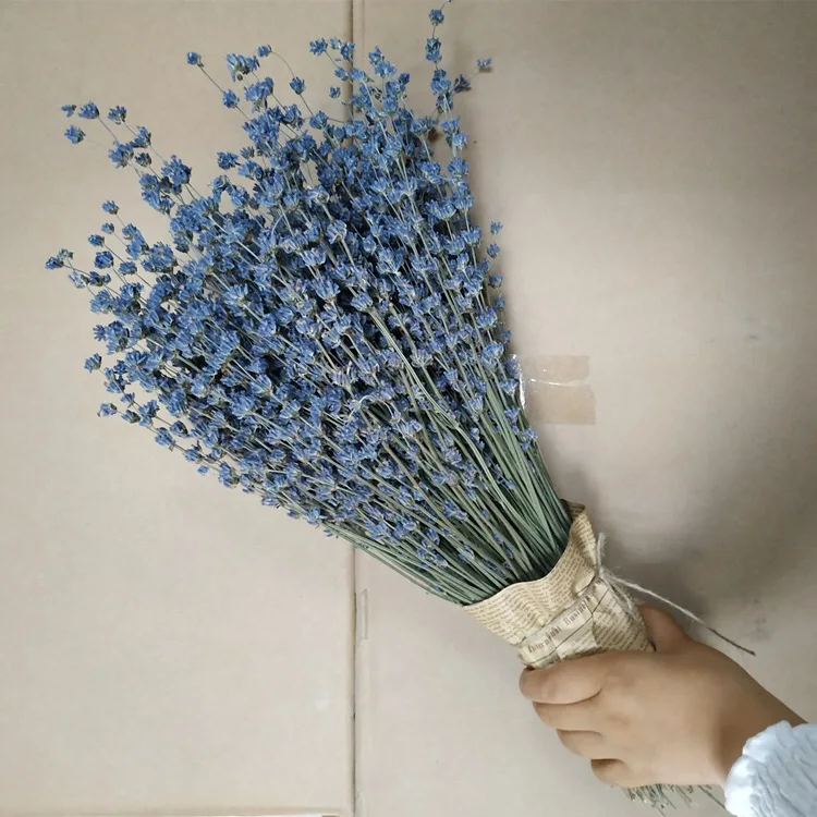 wholesale beautiful dried lavender for home decoration
