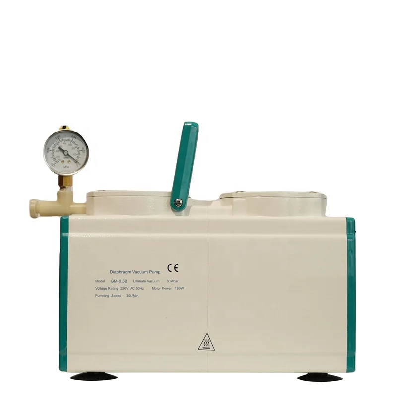 Wholesale Evaporator Negative Pressure Vacuum Pump with Two Chambers