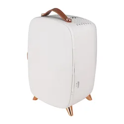 Wholesale 6 liter mini fridge beauty smart cosmetics fridge