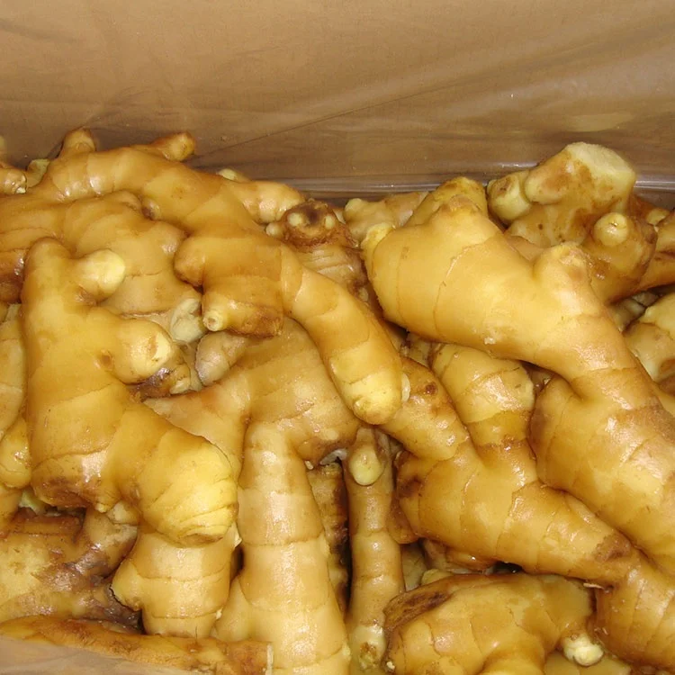 air dry  ginger export to Holland fresh ginger to USA UK UAE middle east