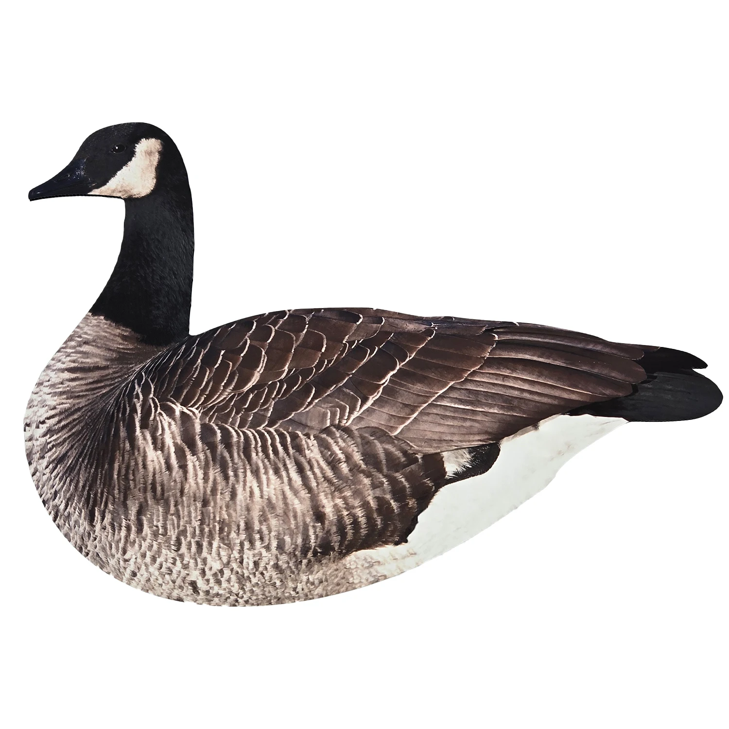 OEM Plastic Lifelike Anti-reflective PP Silhouette Goose Hunting Decoys with Stake