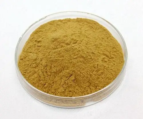 Natural Lilium candidum flower extract 10:1 Lilium Candidum Lily Bulb Extract flower