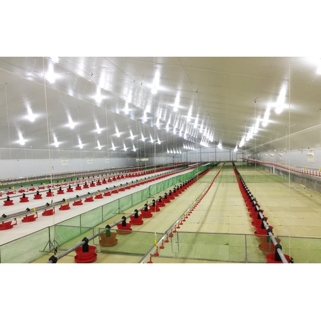Fully Automatic Broiler poultry house Farming design chicken farm