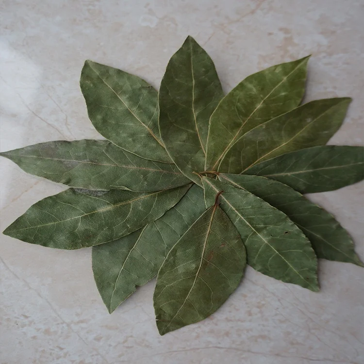 
Single&hebrs Spices Supplier Wholesales Cheap Price Bay Leaf Plant Bay Leaf Powder China AD Chilli & Pepper Dried Piece Fried 
