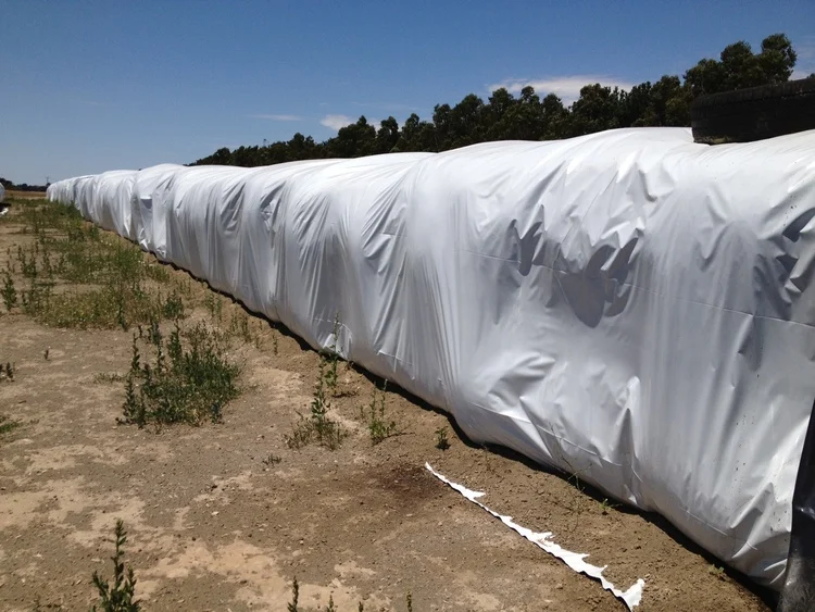 Agriculture Protective Film Powder Coating Black and White For Plastic Silage Cover