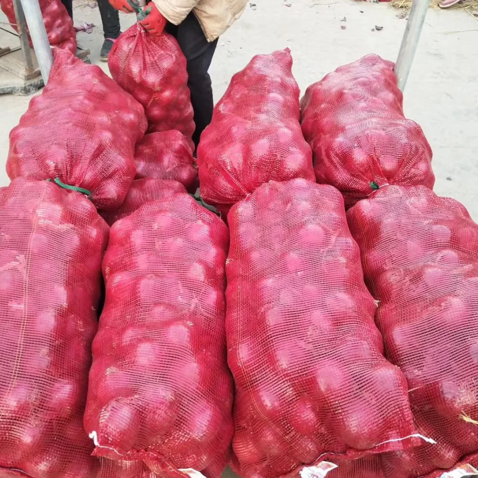 
CHINESE ONION HIGH QUALITY ONION HOT SALE ONION 