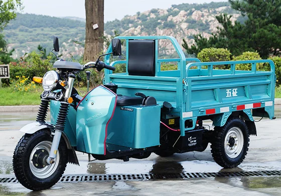 
Various good quality new type large capacity electric cargo tricycle 2021 