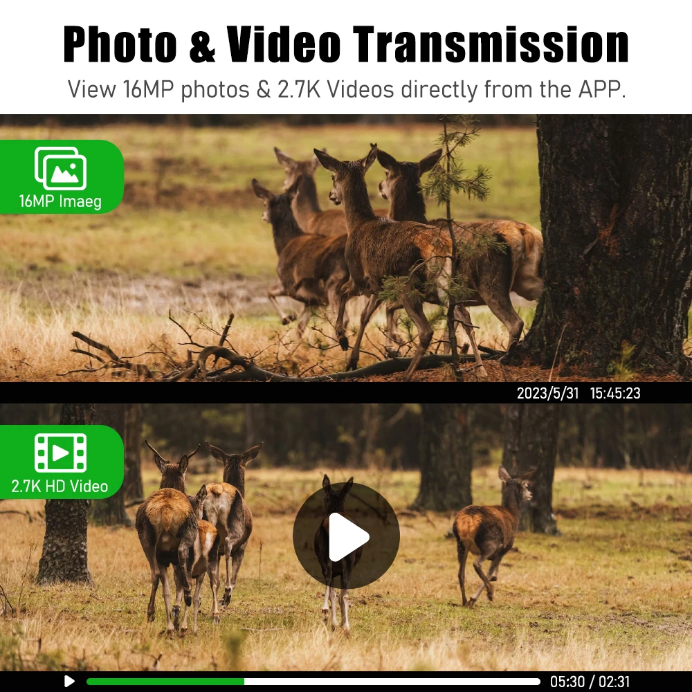 Wifi IP66 waterproof EU 4G Band 0.2S Trigger Motion night vision hunting camouflage 128G TF Card mini camera for outdoor