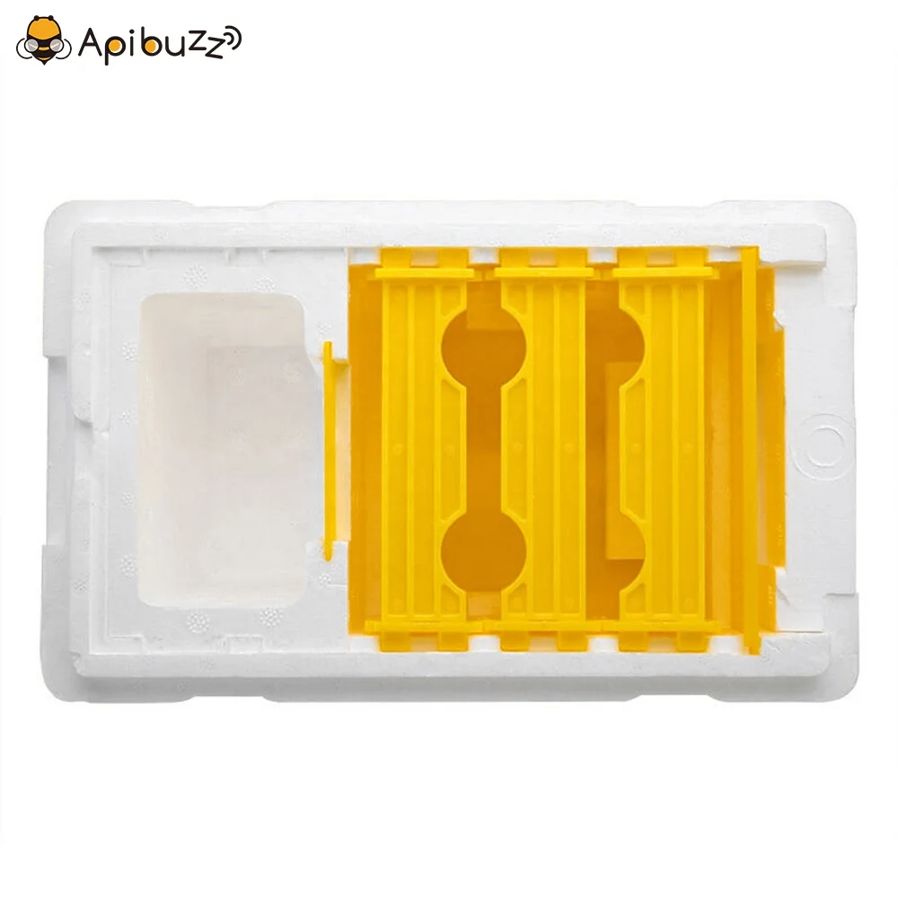 Прямая поставка оптовая продажа миниатюрная коробка для пайки пчелиной сыпи из полистирола ядра пчелиная сыпь апикуляция пчеловодство оборудование пчеловодства