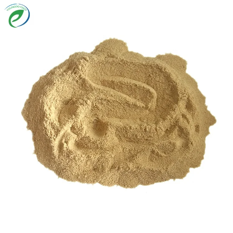 Poultry chicken feeds yeast powder with good price
