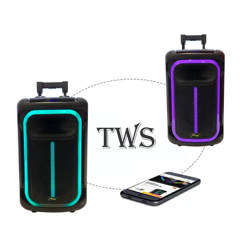 China factory new arrival 12inch karaoke speaker 40W sound system trolley speaker