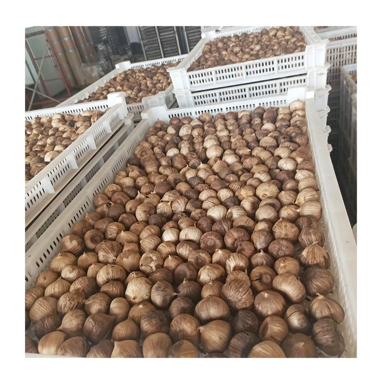 Black garlic Chinese high quality black garlic in bottle for sale best price