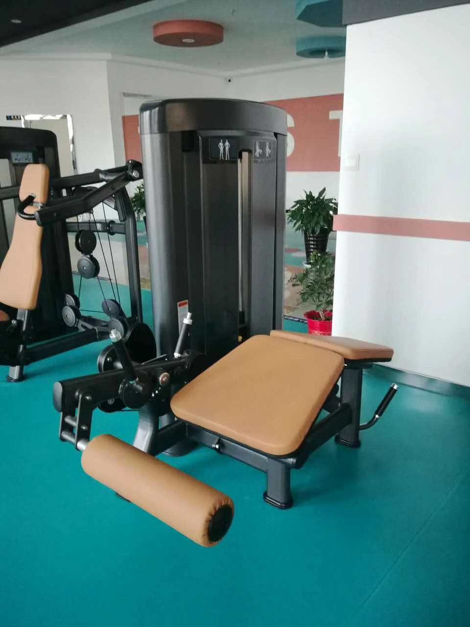 New Multi Second Hand Home Fitness Gym Equipment for Sale Gym Abdominal Crunch RuiBu-9021